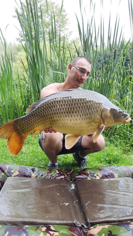 מלון Lonny Les Etangs Du Moulin D'Harcy מראה חיצוני תמונה