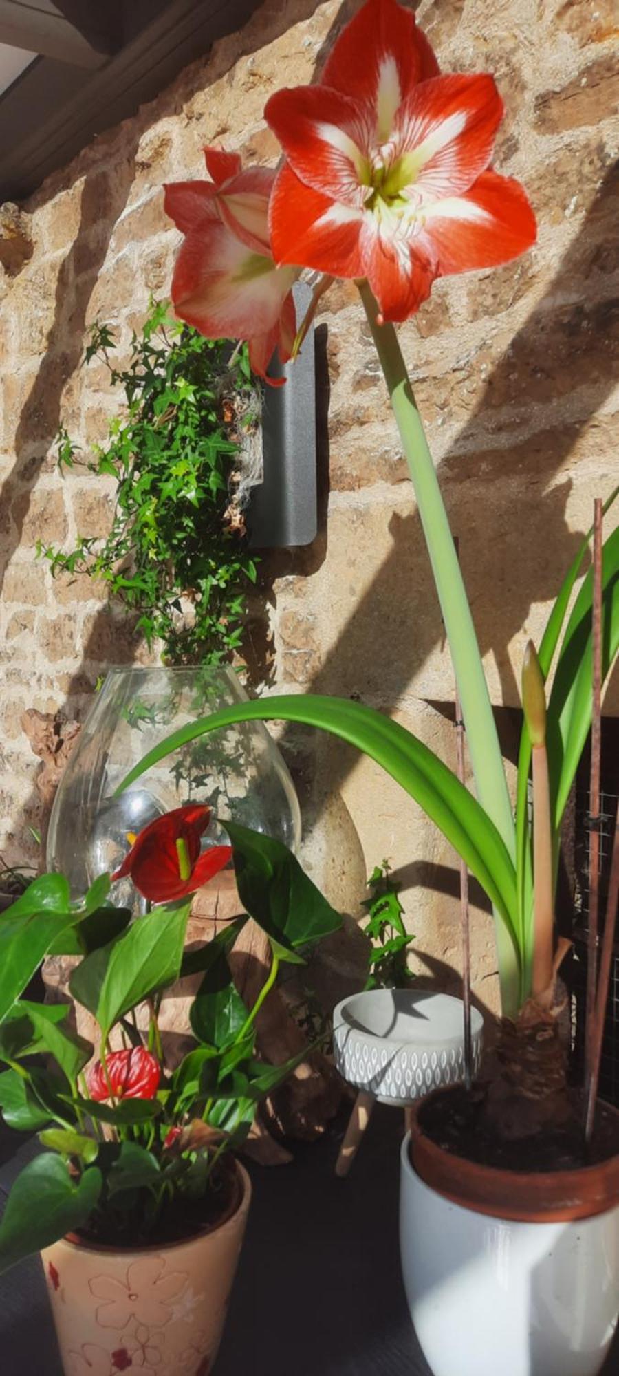 מלון Lonny Les Etangs Du Moulin D'Harcy מראה חיצוני תמונה